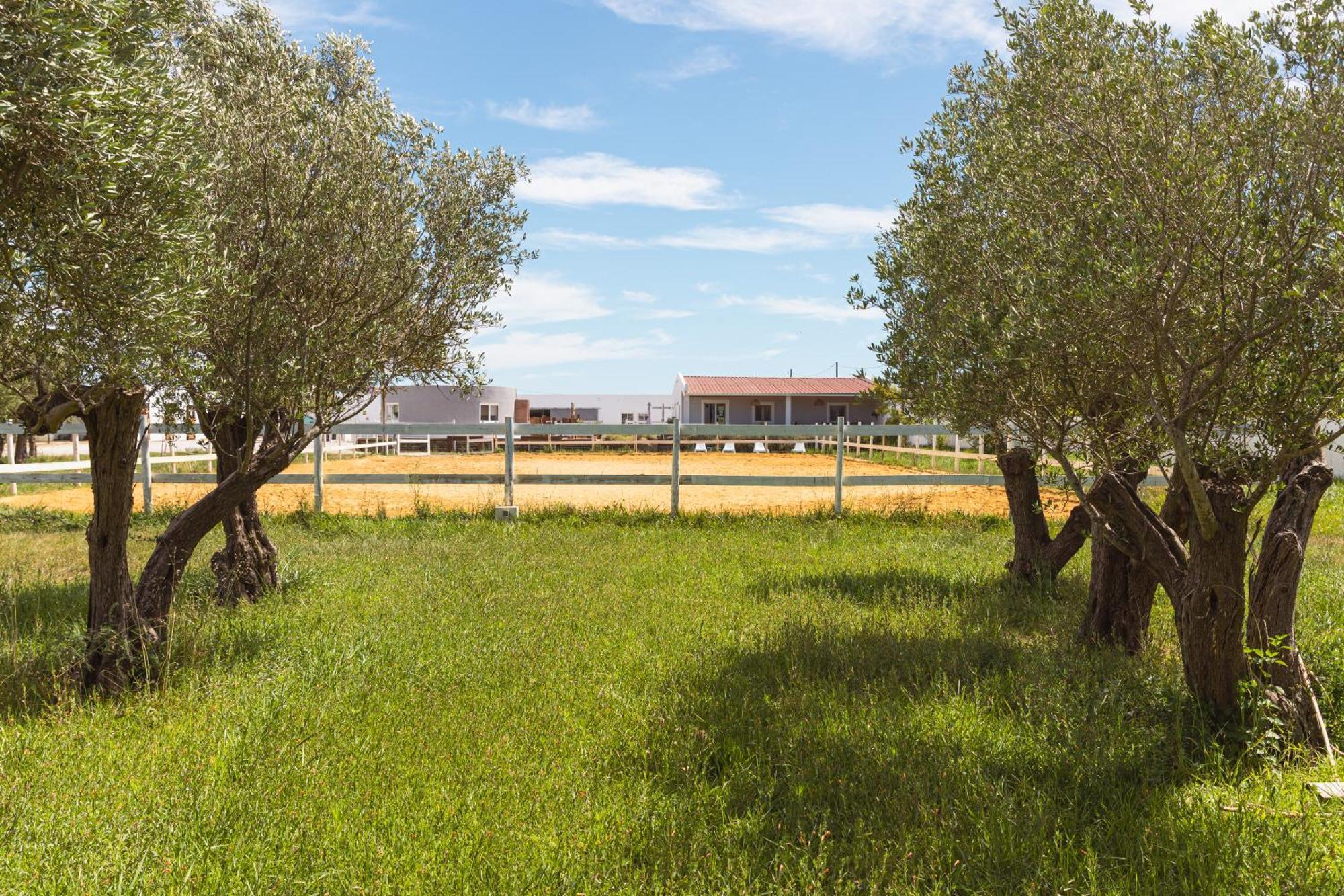 Vila Natura Barreiro  Exteriör bild